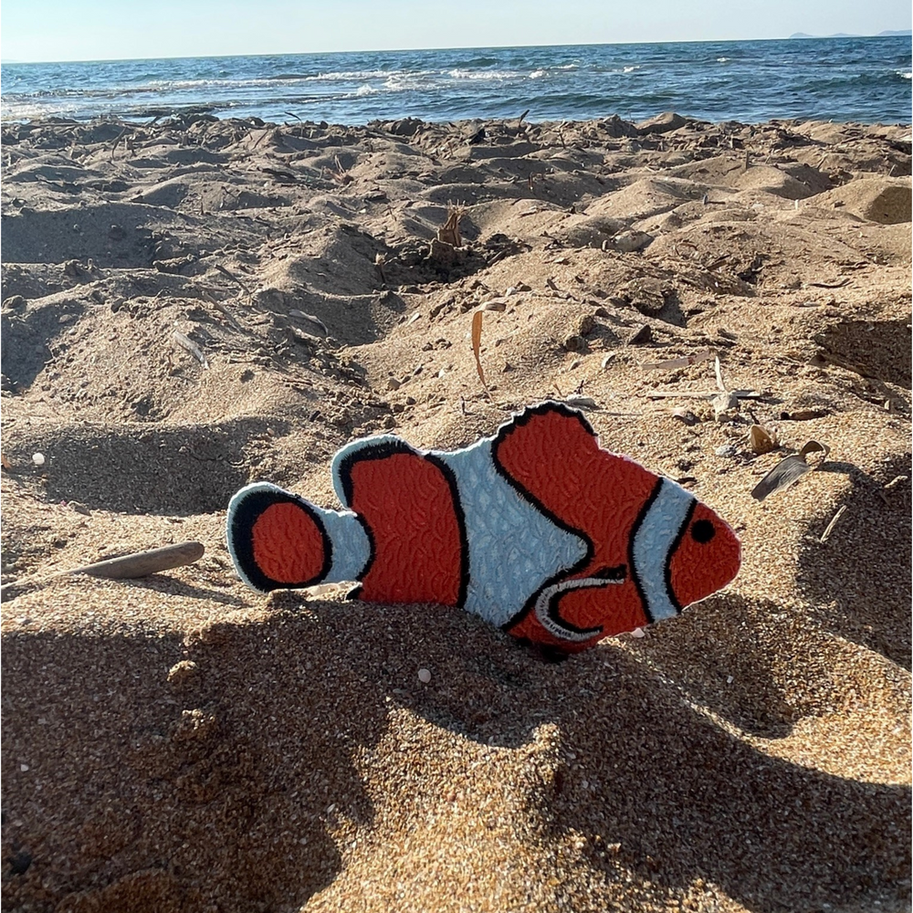 Clown Fisch Patch im Sand mit dem Meer im Hintergund