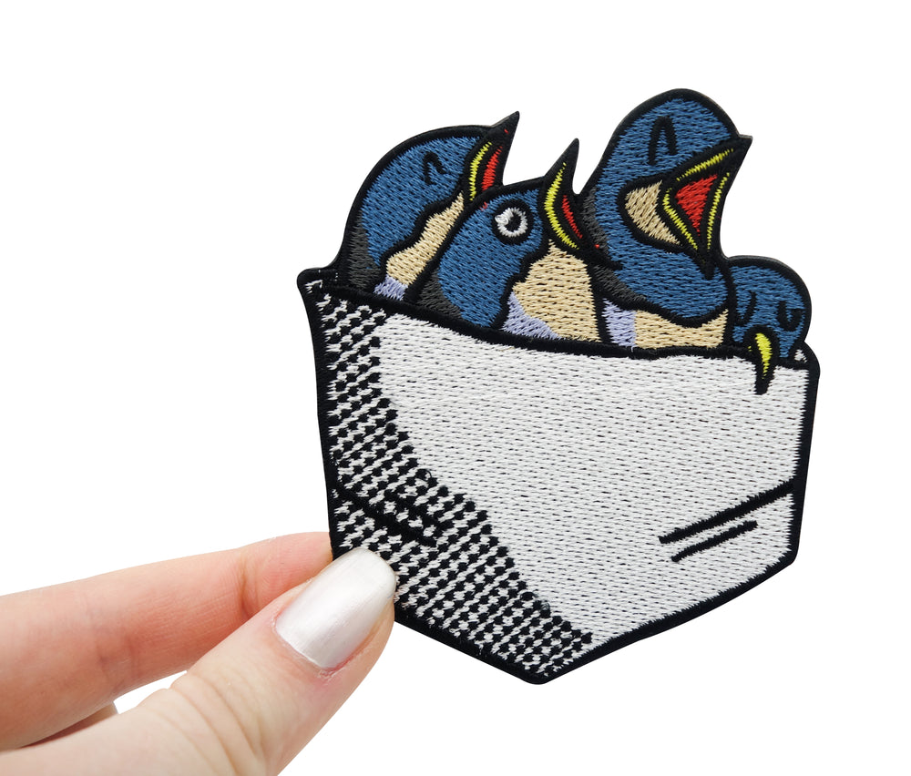 Baby Vögel Patch gehalten von einer Frauenhand