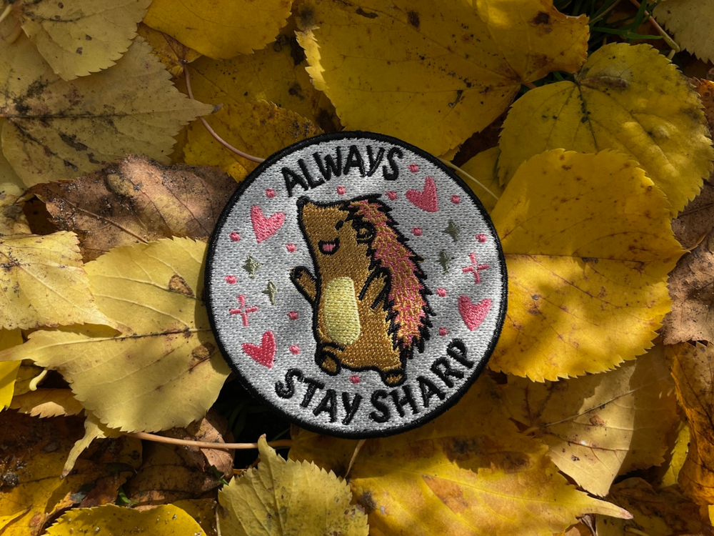 Igel Patch auf herbstlichen Blättern