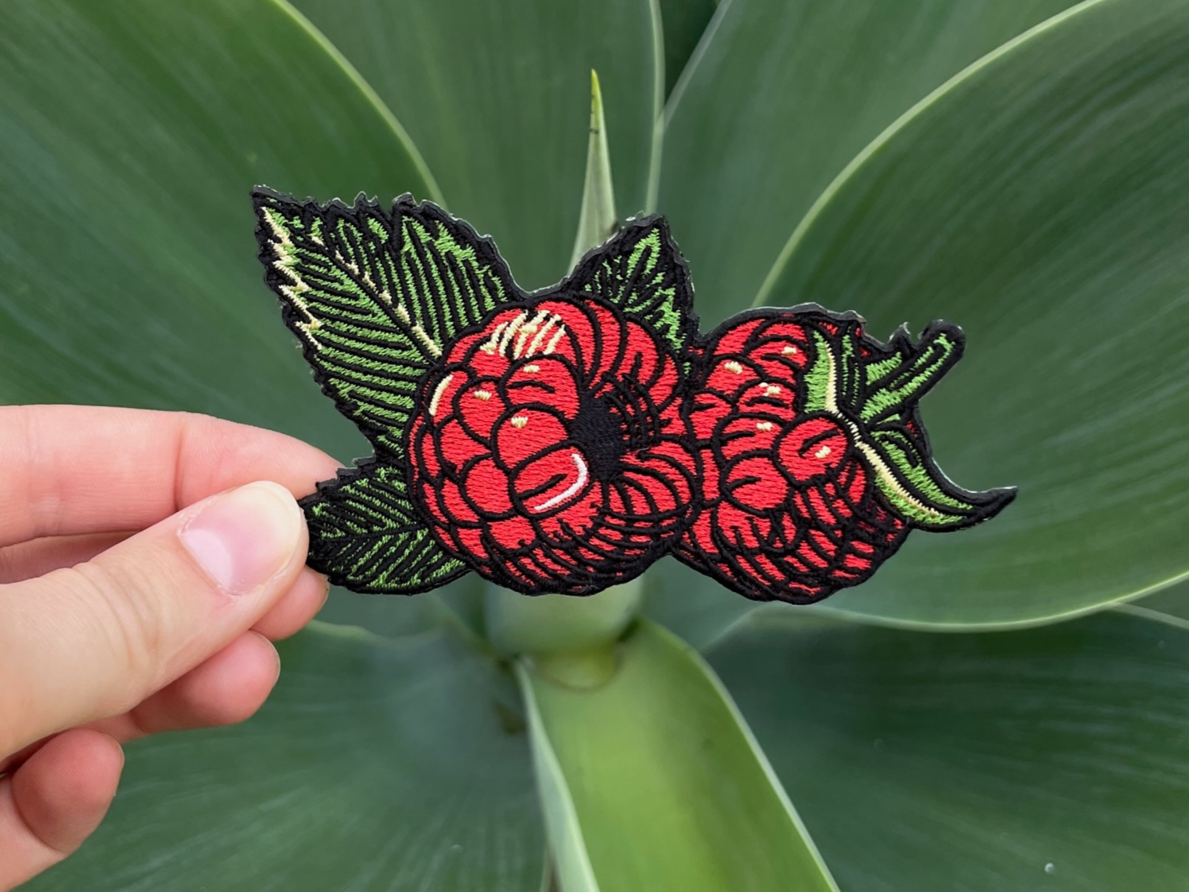 Himbeeren Obst Patch zum Aufbügeln | Früchte Blüten Patches, Essen Food Bügelflicken, Rote Frucht Flicken, Aufnäher Finally Home