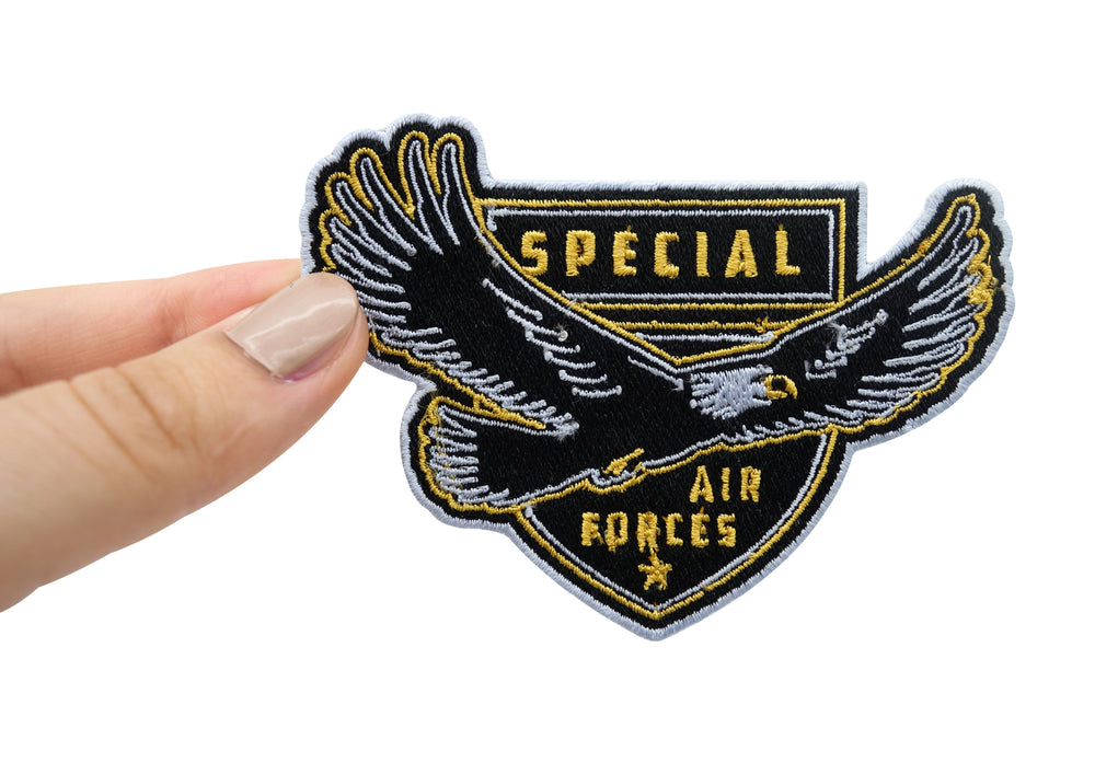Hand hält den Air Forces Adler Patch
