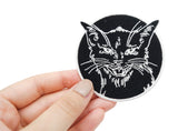 Schwarzer Katzen Patch gehalten von einer Frauenhand