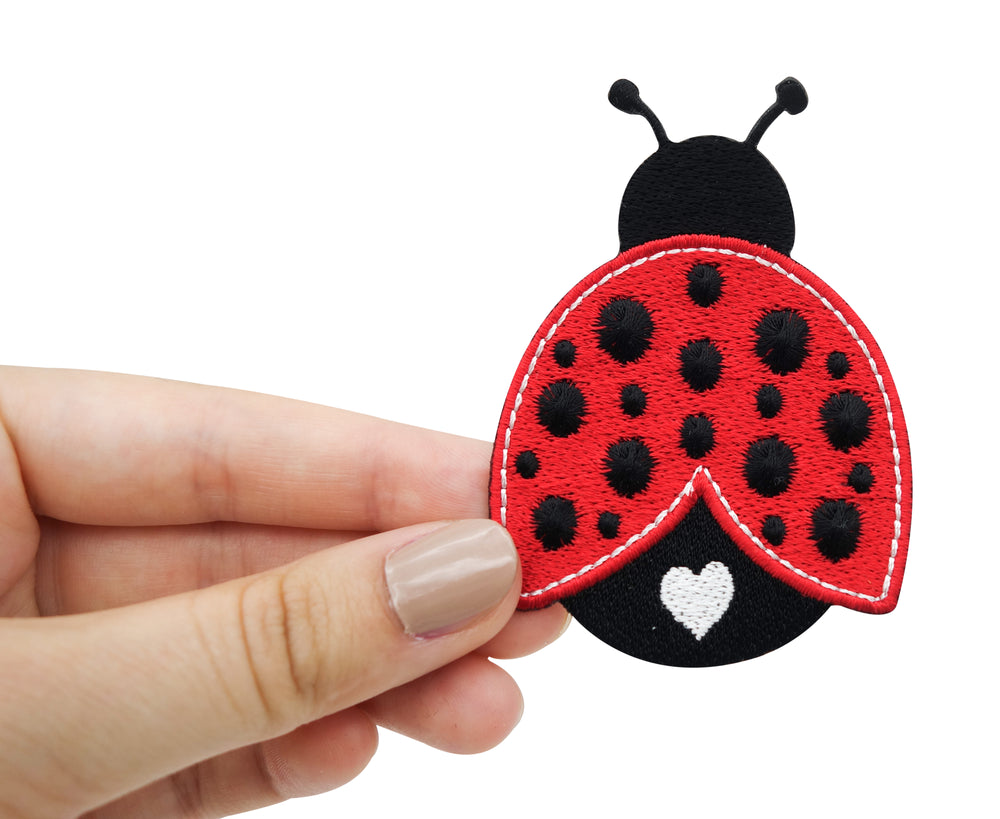 Marienkäfer Patch gehalten von einer Frauenhand