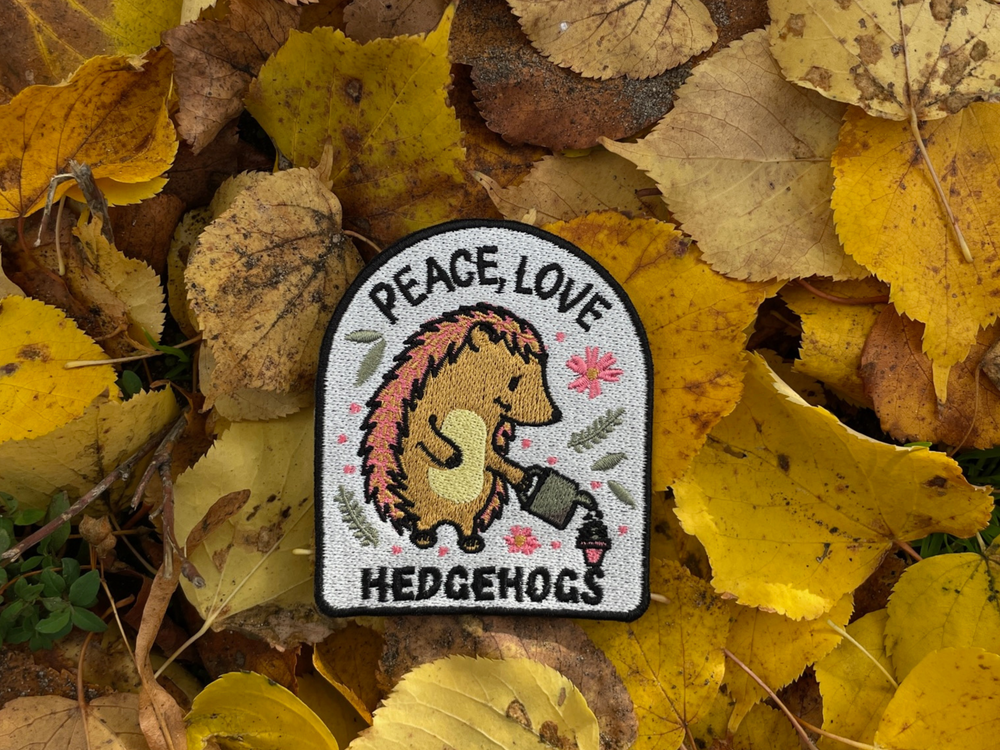 Igel Patch auf herbstlichen Blättern