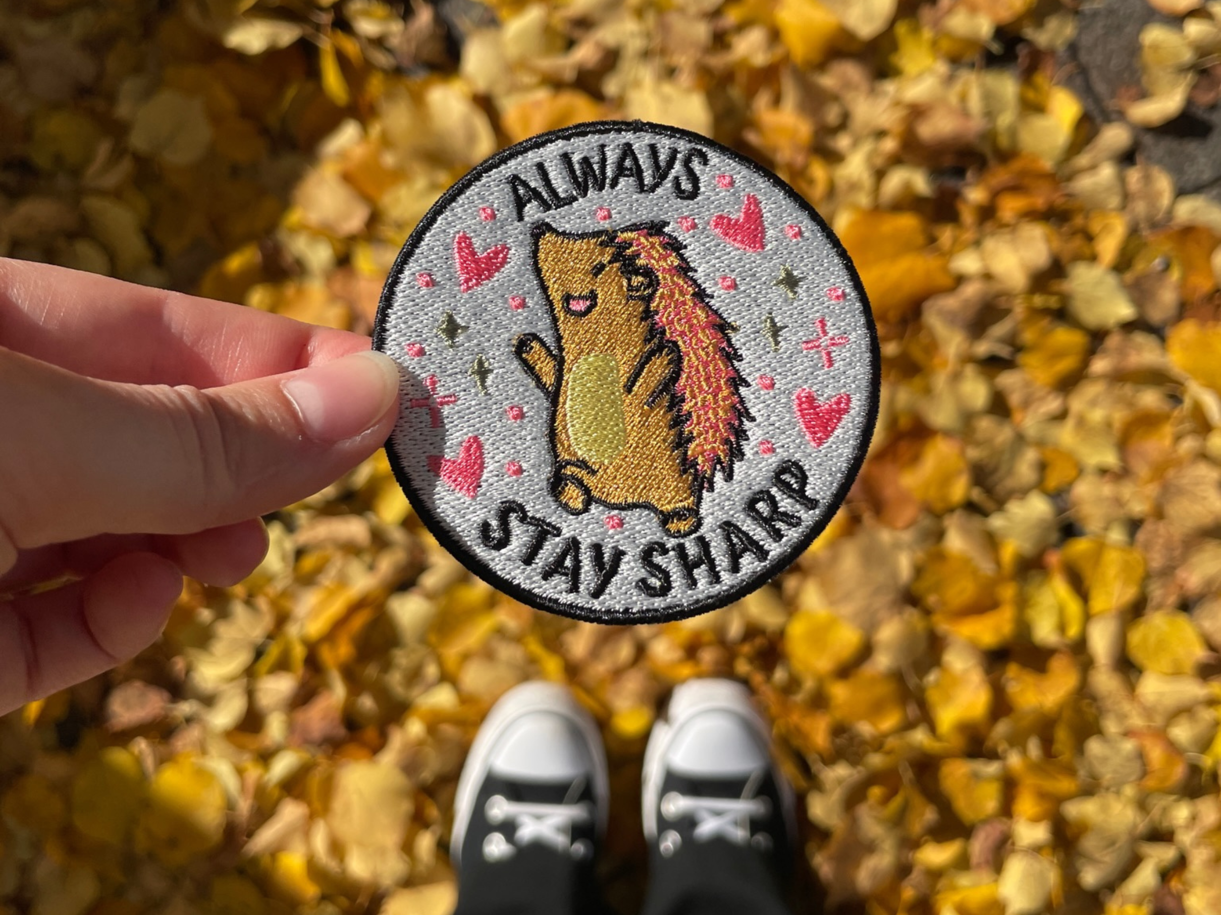 Igel Patch gehalten von einer Frauenhand vor herbstlichem Hintergrund