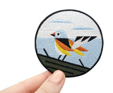 Frauenhand hält den Vogel Patch